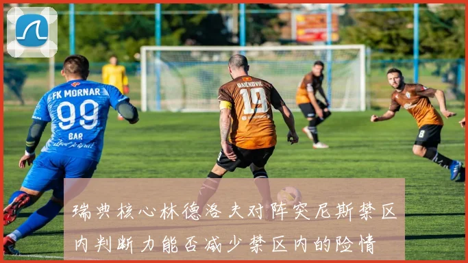 瑞典核心林德洛夫对阵突尼斯禁区内判断力能否减少禁区内的险情